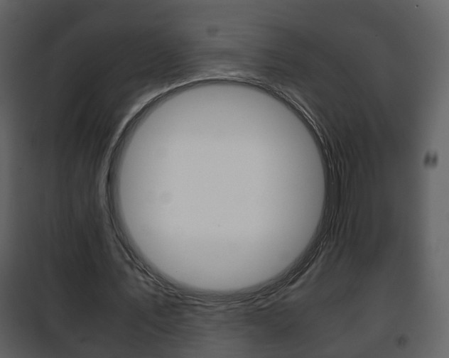 X0000101960579200807180705