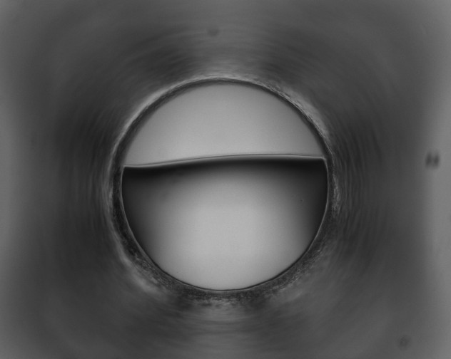 X0000101960580200807180705