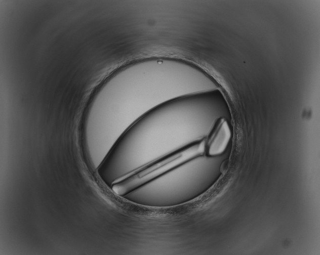 X0000101960581200807180705