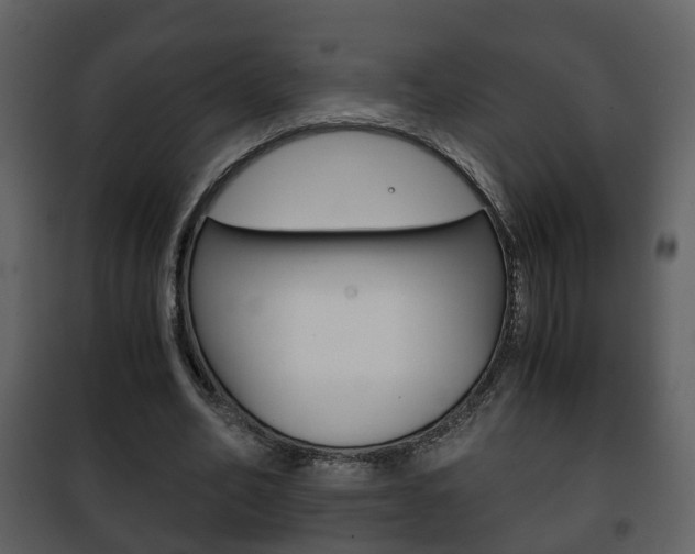 X0000101960582200807180705