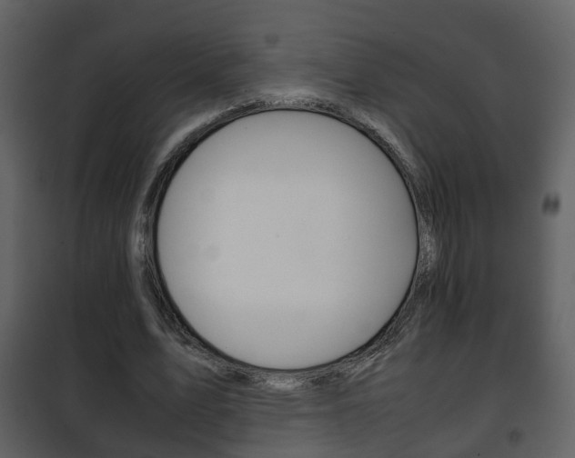 X0000101960583200807180705