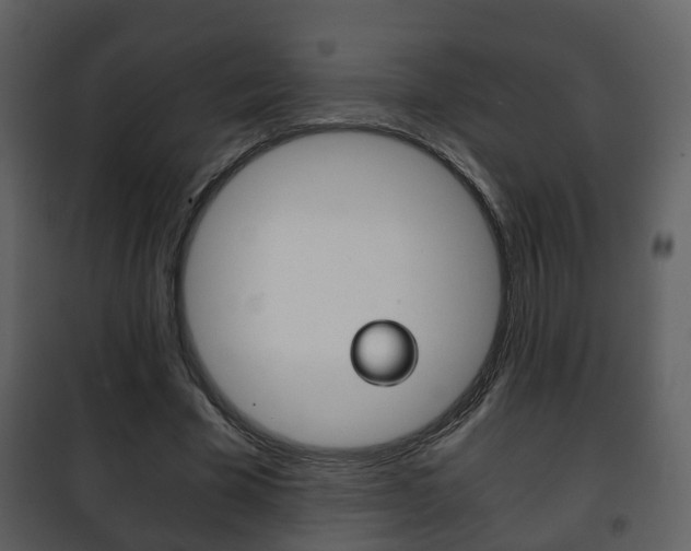 X0000101960585200807180705