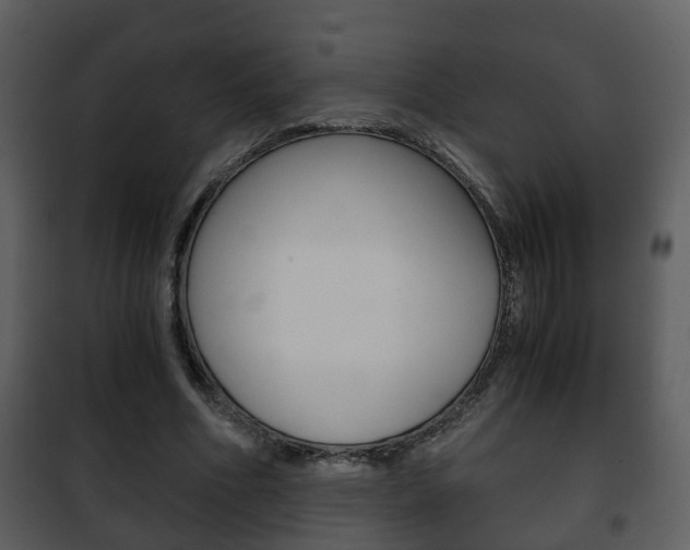 X0000101960586200807180705