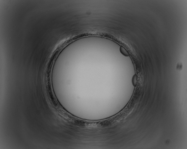 X0000101960587200807180705