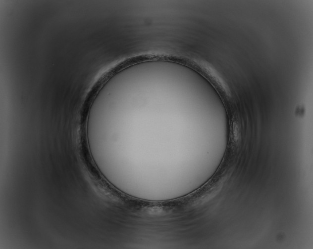 X0000101960588200807180705