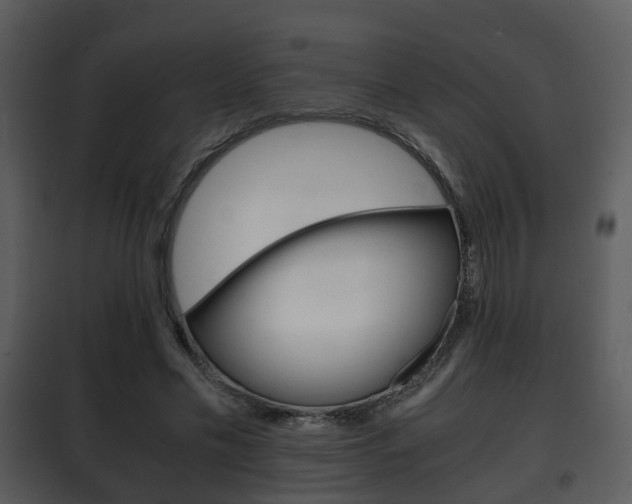 X0000101960589200807180704