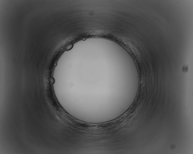 X0000101960591200807180704