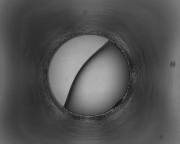 X0000101960593200807180704