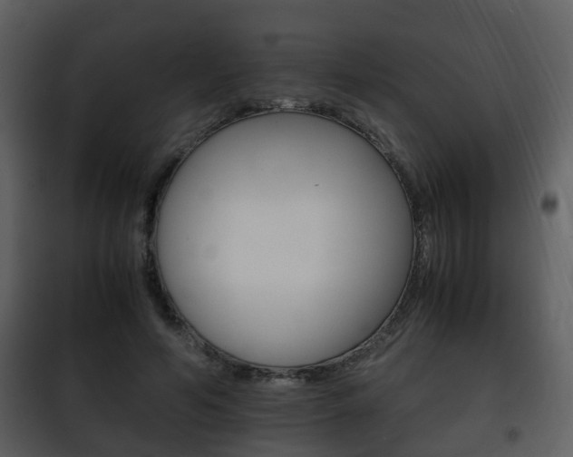X0000101960594200807180704