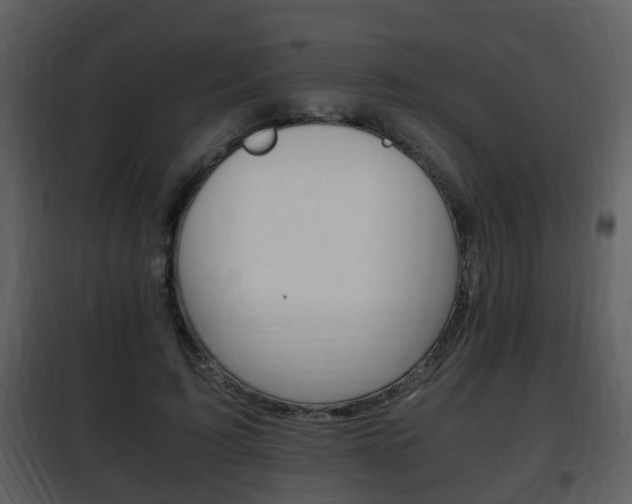 X0000101960595200807180704