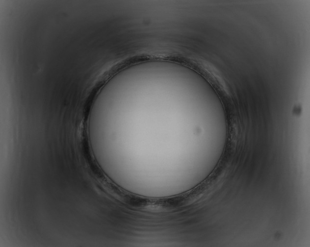 X0000101960596200807180704