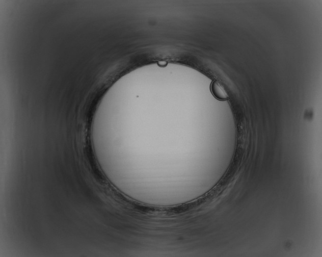X0000101960597200807180704