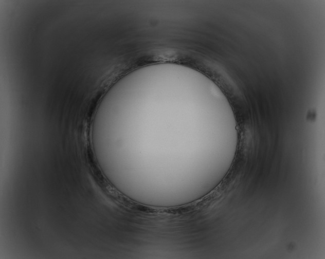 X0000101960598200807180704