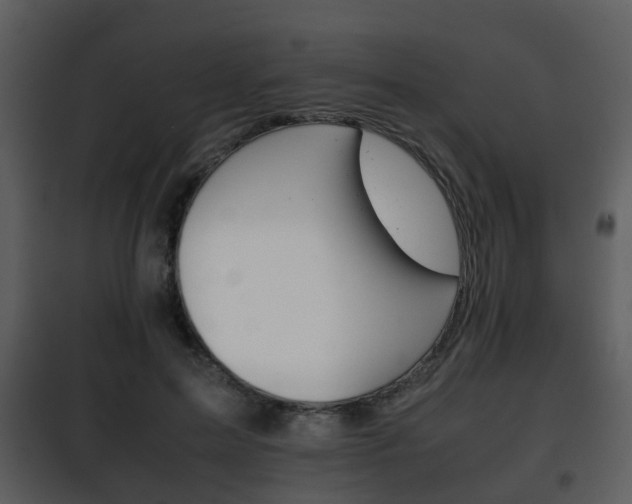X0000101960599200807180704