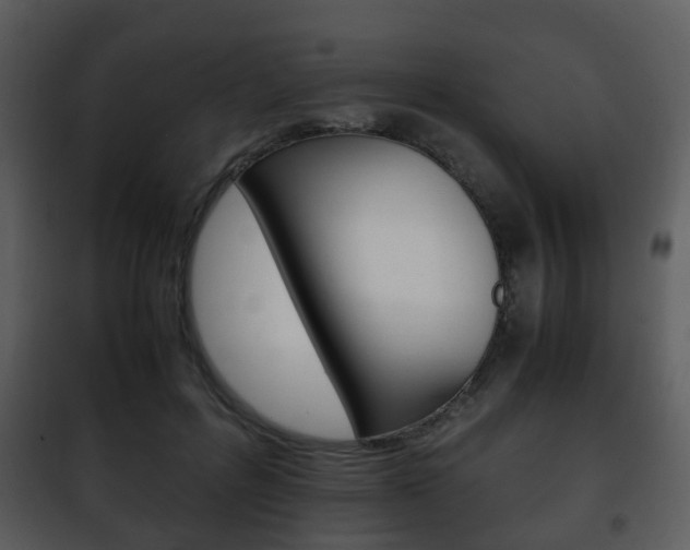 X0000101960600200807180704