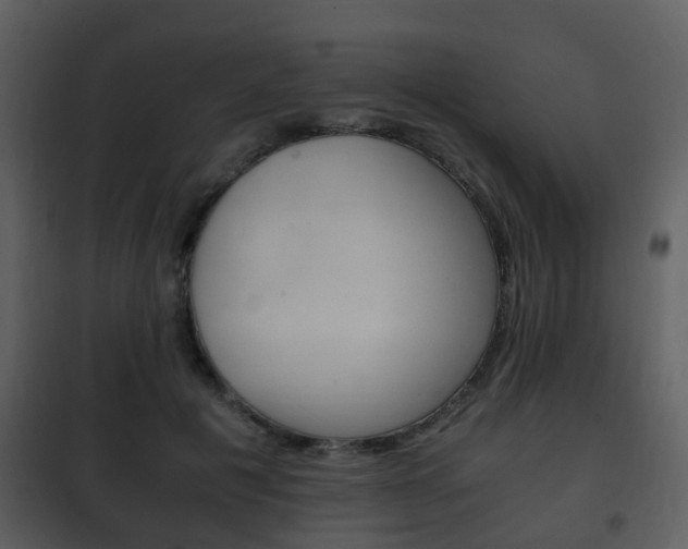 X0000101960601200807180704