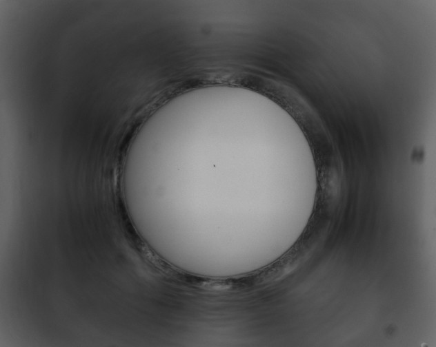 X0000101960602200807180704