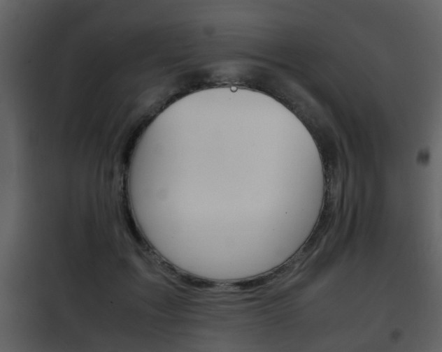 X0000101960603200807180704