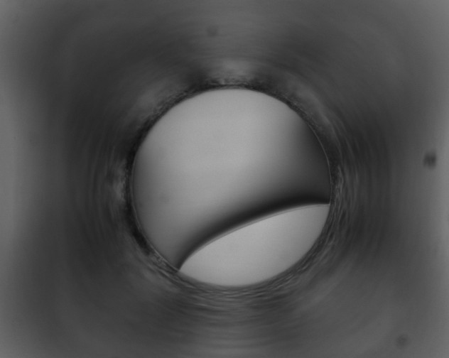 X0000101960604200807180704