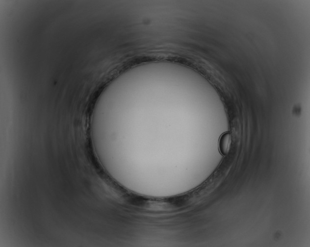 X0000101960605200807180704