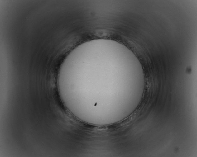X0000101960606200807180704