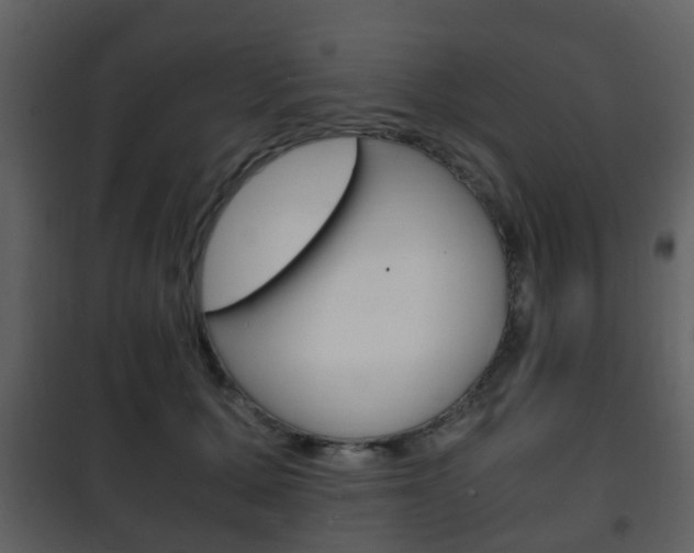 X0000101960607200807180704