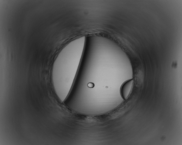 X0000101960608200807180704