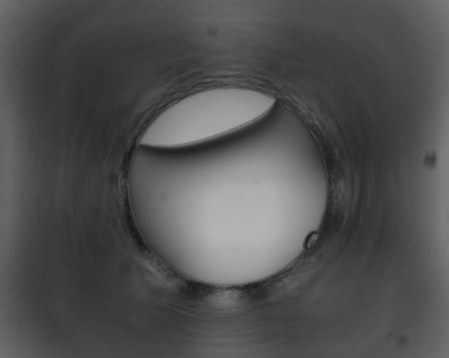X0000101960609200807180704
