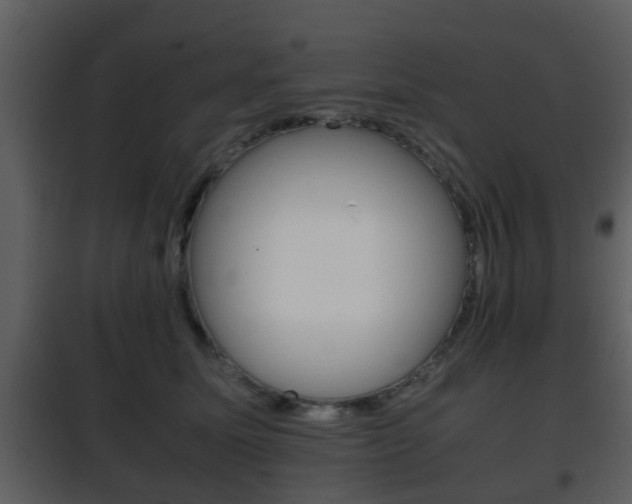 X0000101960611200807180704