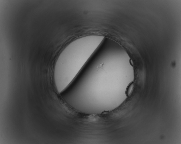 X0000101960612200807180704