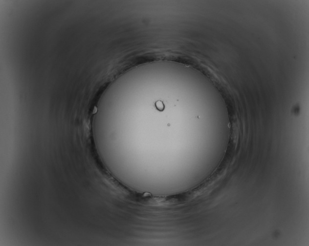 X0000101960613200807180704