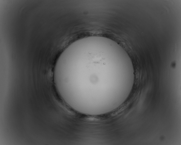 X0000101960614200807180704