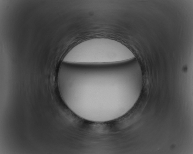X0000101960615200807180704