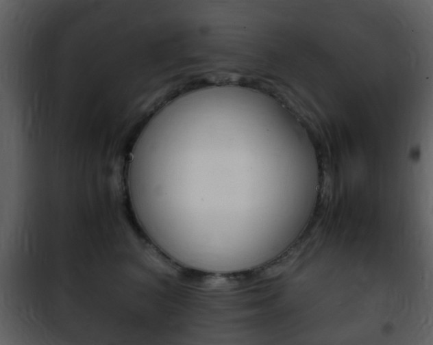 X0000101960616200807180704