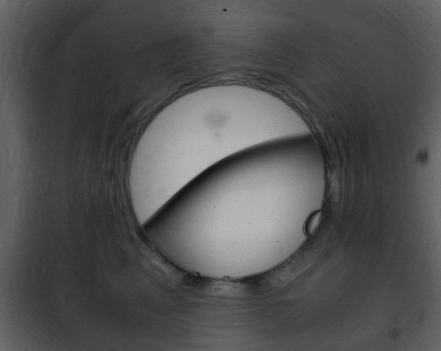 X0000101960617200807180704