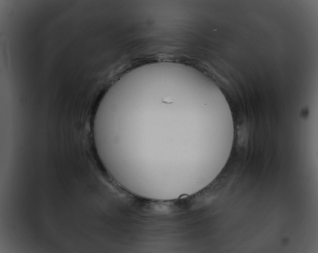 X0000101960618200807180704