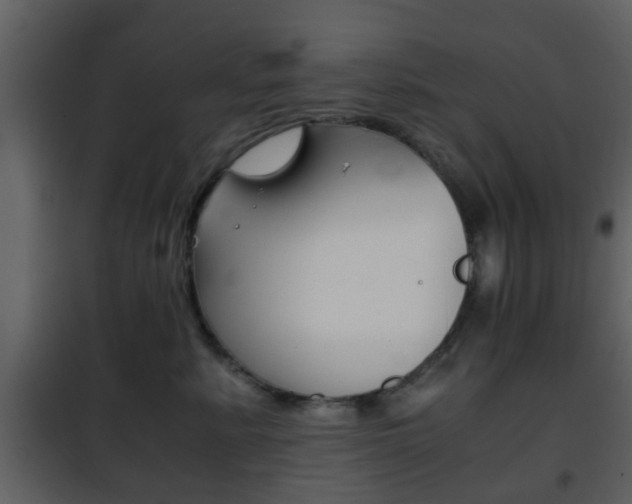 X0000101960619200807180704