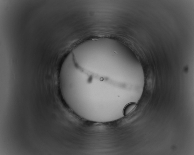 X0000101960620200807180704