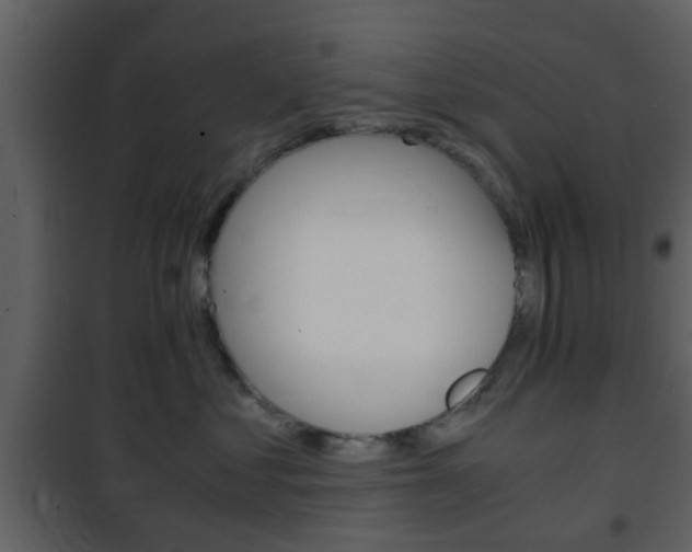 X0000101960621200807180704