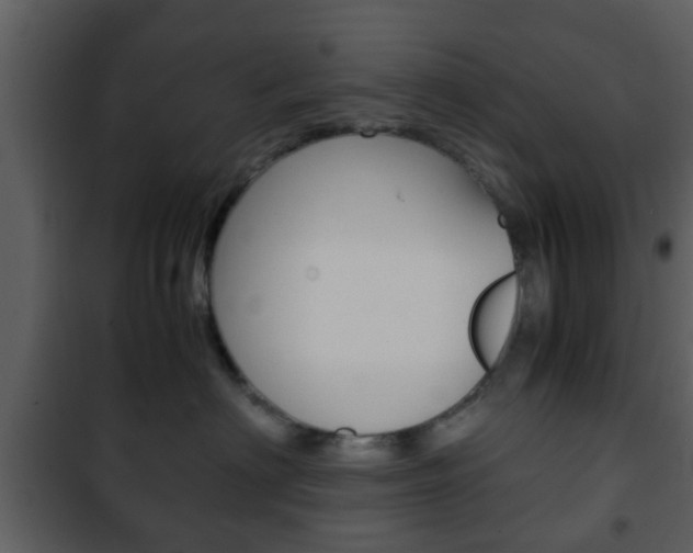X0000101960622200807180704