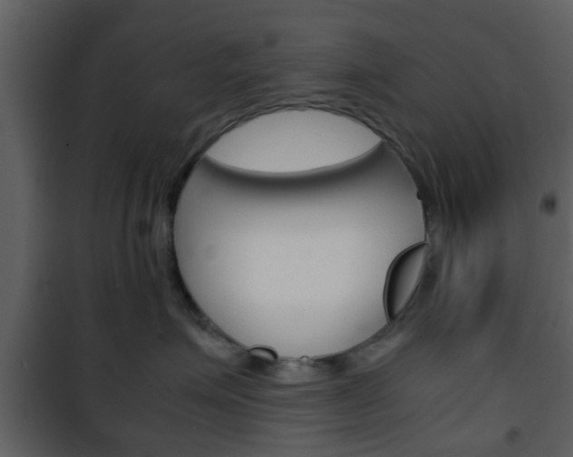 X0000101960623200807180704