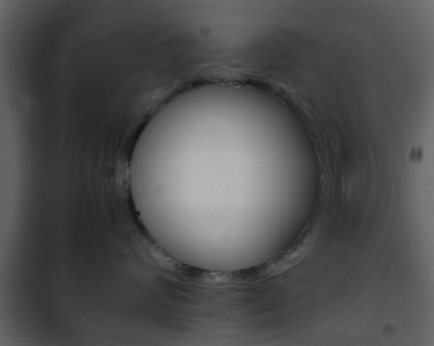 X0000101960624200807180704