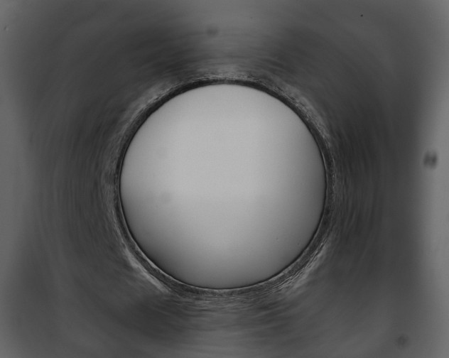 X0000101960625200807180703