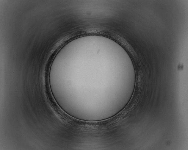 X0000101960626200807180703