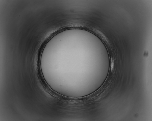 X0000101960627200807180703
