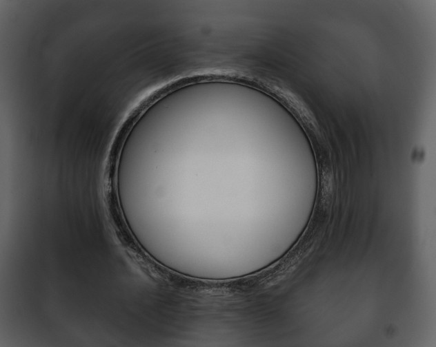 X0000101960628200807180703
