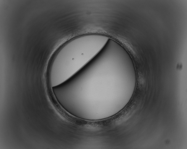 X0000101960630200807180703
