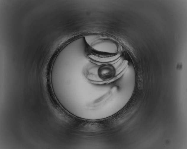 X0000101960631200807180703