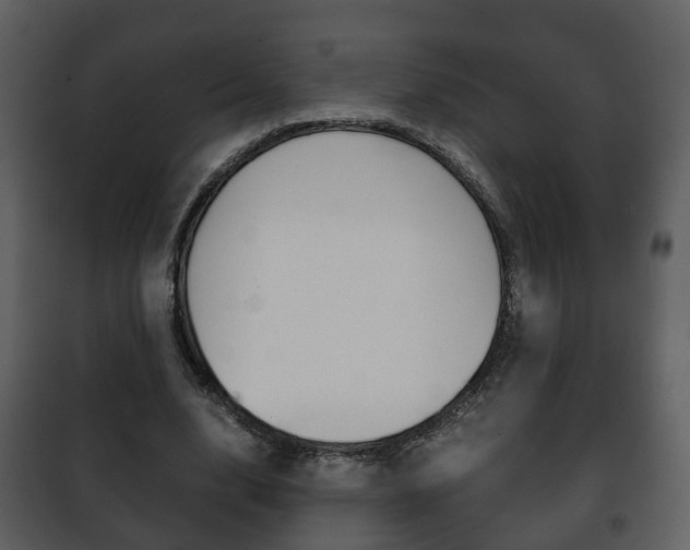 X0000101960632200807180703