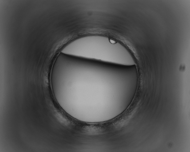 X0000101960633200807180703